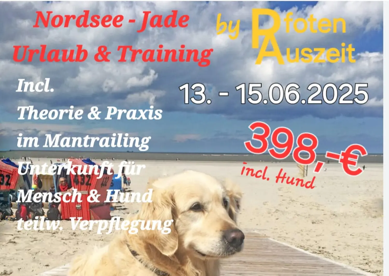 Pfoten-Auszeit von HeP Hunde extrem Parcours