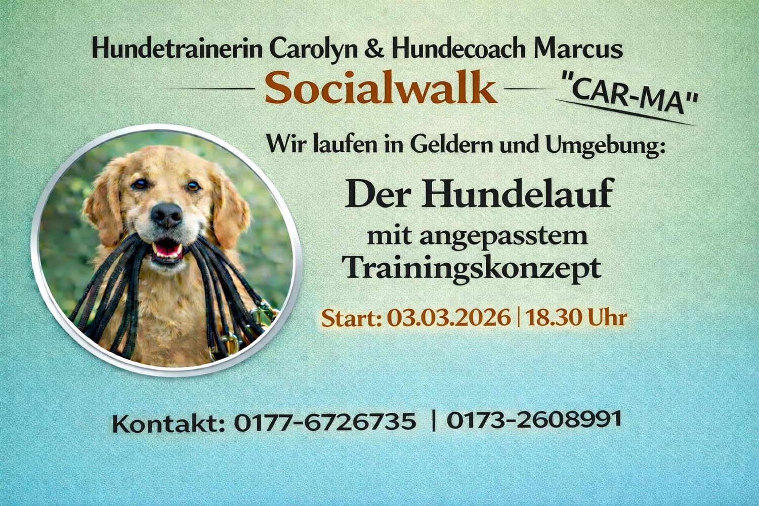 Pfoten-Auszeit von HeP Hunde extrem Parcours
