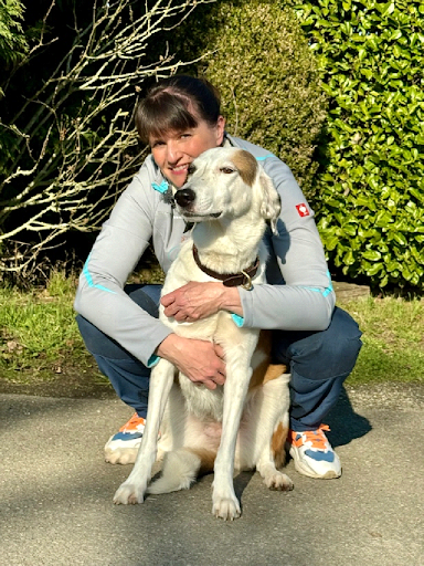 Mantrailing hund von HeP Hunde extrem Parcours